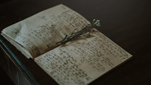Is Autobiography a Primary Source