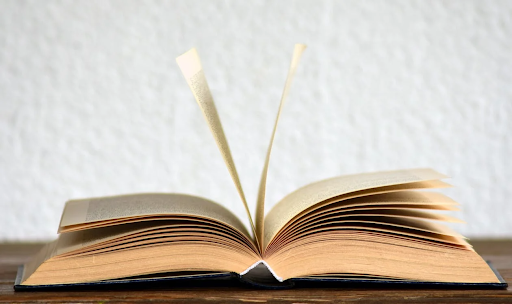 Memoir vs Novel